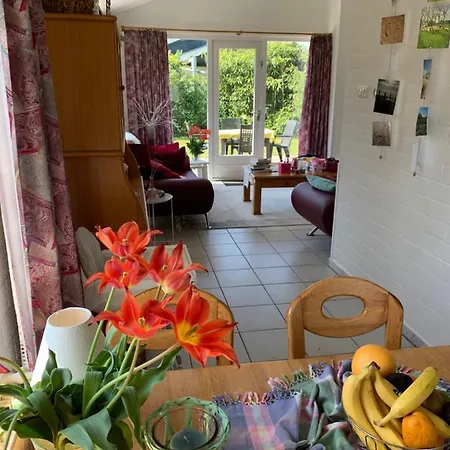 Bungalow36 - * Petten